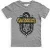 Harry Potter Quidditch gyerek rövid póló, felső 6 - 12 év / 116 - 152 cm
